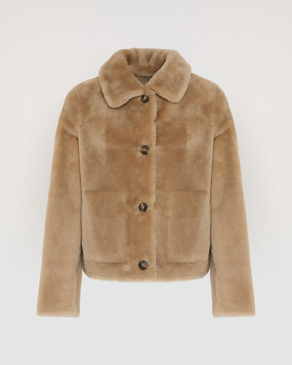 Short jacket in merino lambskin