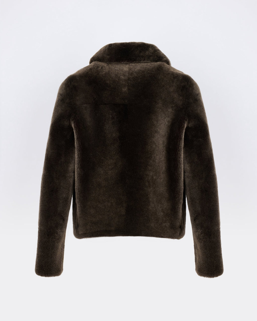 Short jacket in shearling merino lambskin