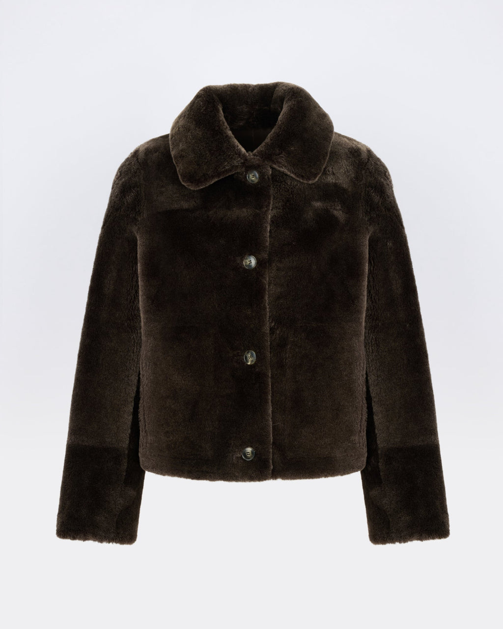 Short jacket in shearling merino lambskin