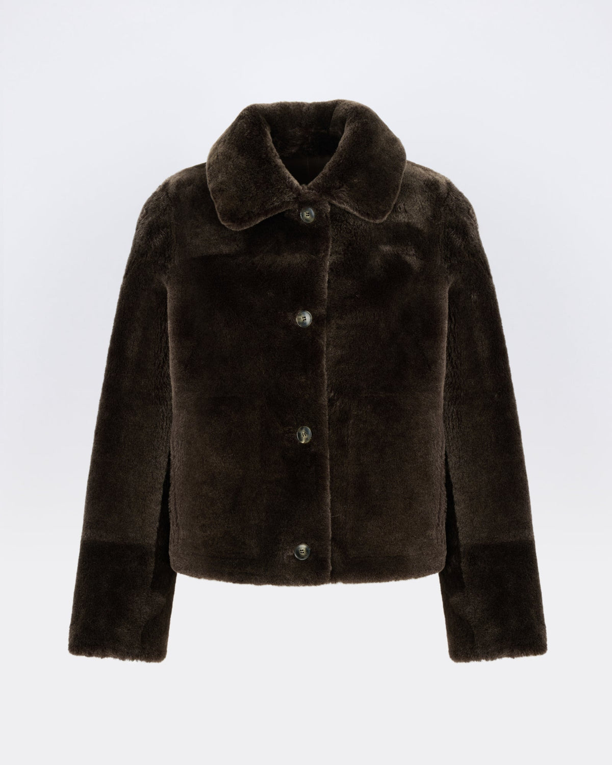 Short jacket in shearling merino lambskin