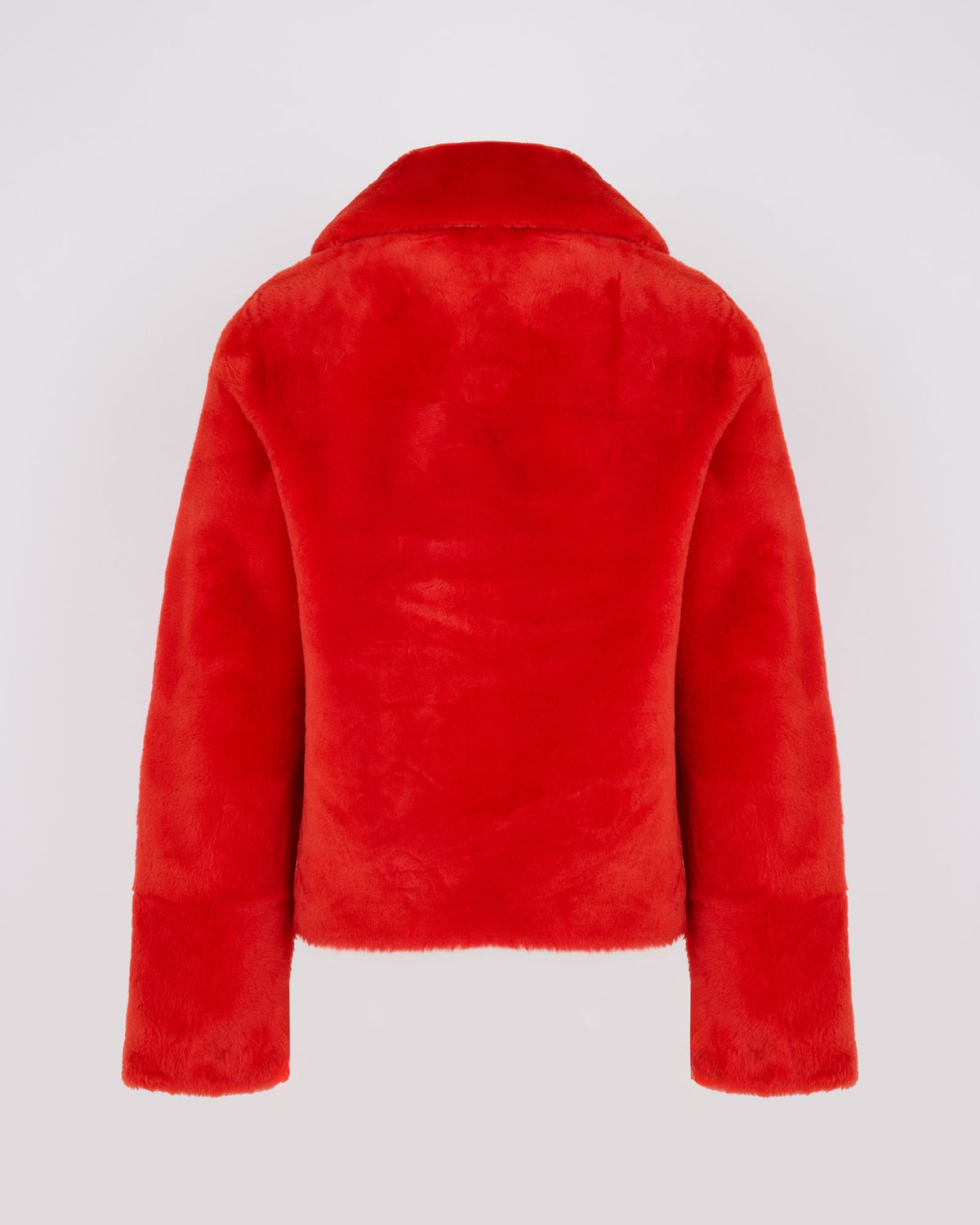 Short jacket in shearling merino lambskin