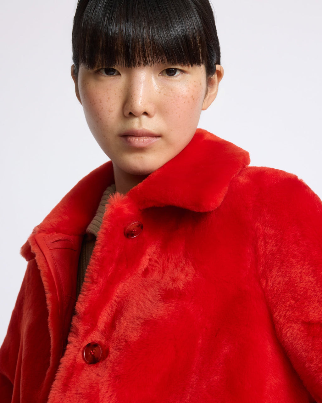 Short jacket in shearling merino lambskin