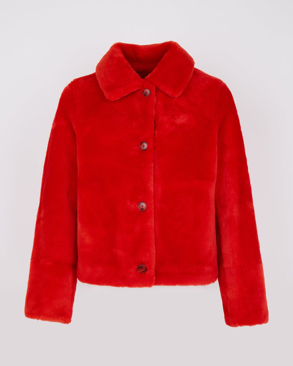 Short jacket in shearling merino lambskin