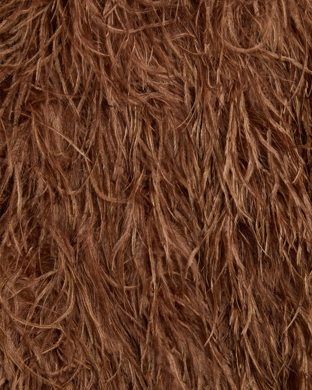 Short Ostrich Feather Jacket