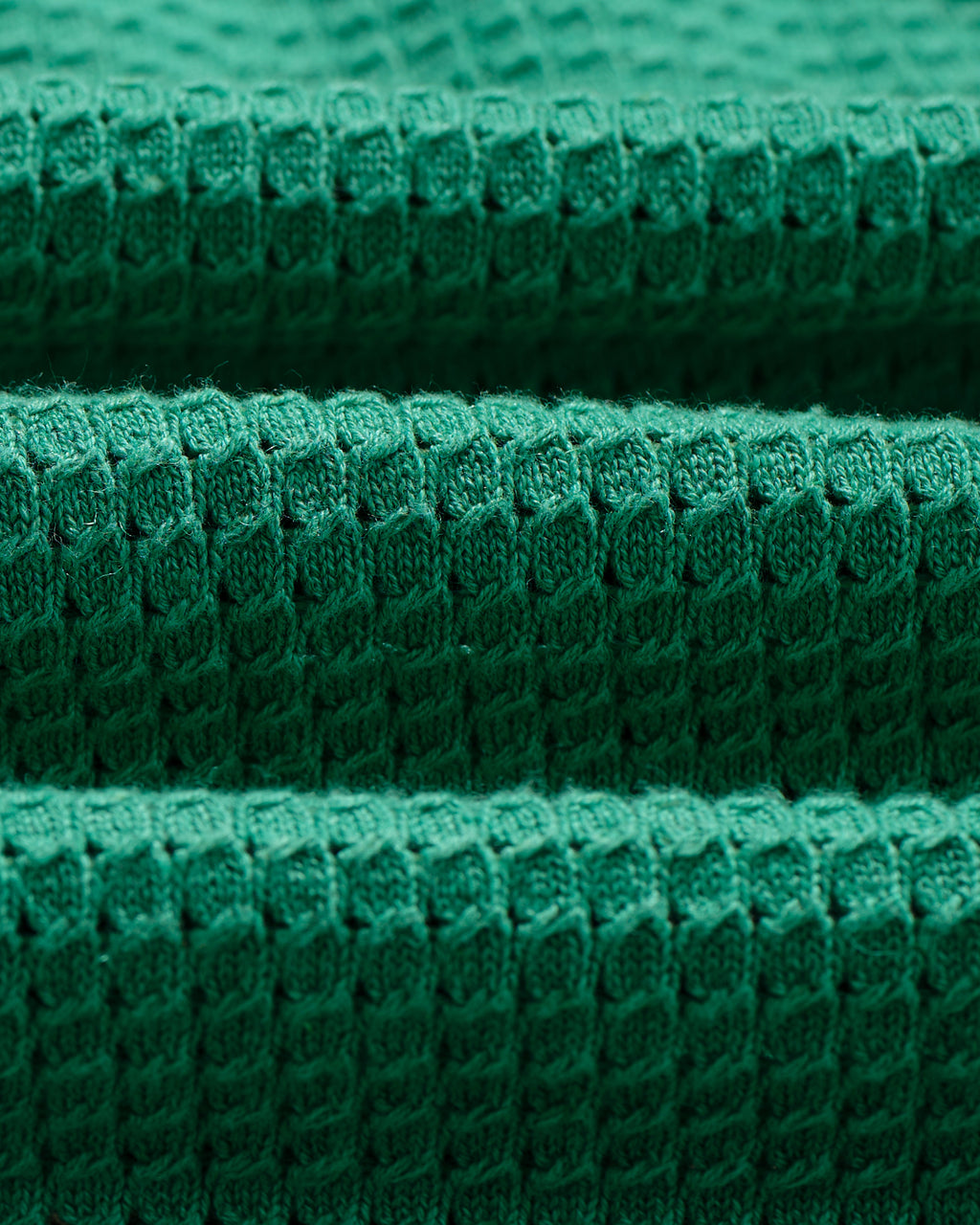 Belle - Green Tipped Pointelle Polo Shirt