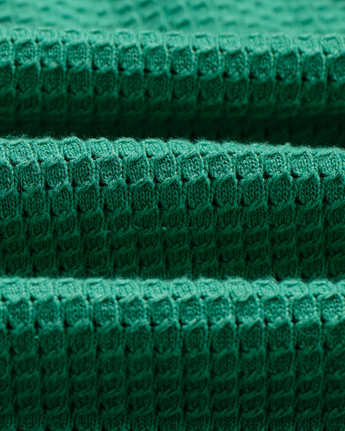 Belle - Green Tipped Pointelle Polo Shirt