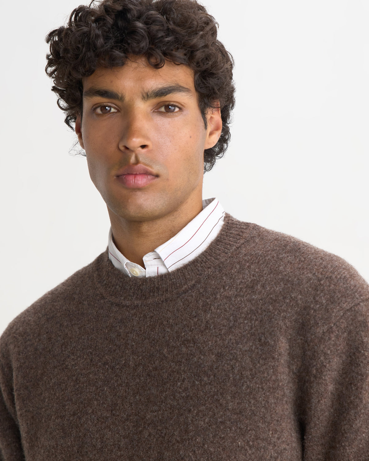 Wilde - Chocolate Brown Fluffy Wool Crewneck